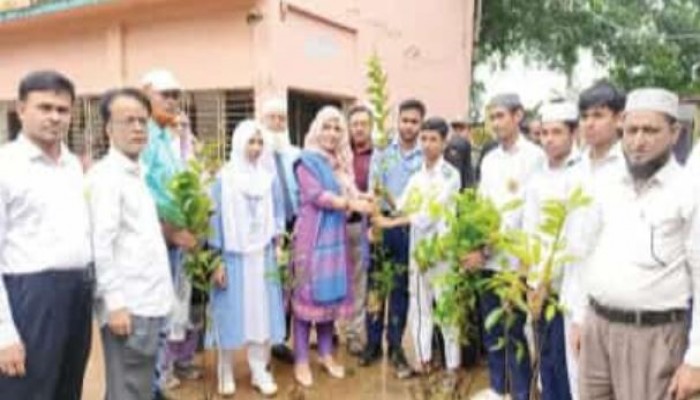 ব্রাহ্মণপাড়ায় বিভিন্ন শিক্ষা প্রতিষ্ঠানে ৫ হাজার গাছের চারা বিতরণ