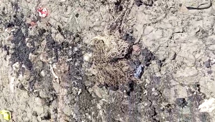 পেকুয়ায় গভীর রাতে প্রতিবন্ধীর জাল পুঁড়য়ে দিলো দুবৃর্ত্তরা
