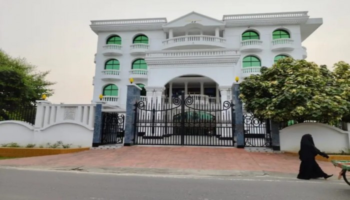 কুষ্টিয়ায় শিল্পপতির বাড়ি থেকে এক উন্নত প্রজাতির আমগাছ চুরির অভিযোগ