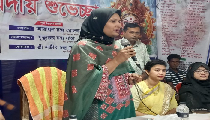 হোসেনপুরে শারদীয় দুর্গাপূজা মণ্ডপ পরিদর্শন করেন জেলা প্রশাসক