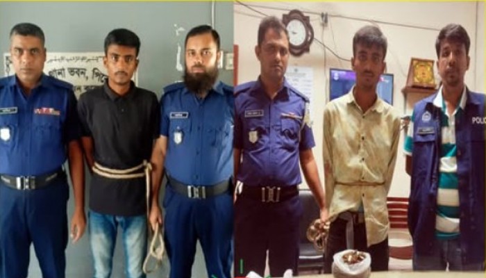 কাউখালীতে দুর্ধর্ষ মাদক ব্যবসায়ী গ্রেফতার