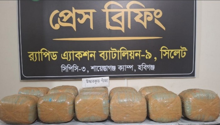 হবিগঞ্জের শায়েস্তাগঞ্জ থেকে ৫৪ কেজি গাঁজাসহ ০২ জন মাদক ব্যবসায়ীকে আটক করেছে র‌্যাব।