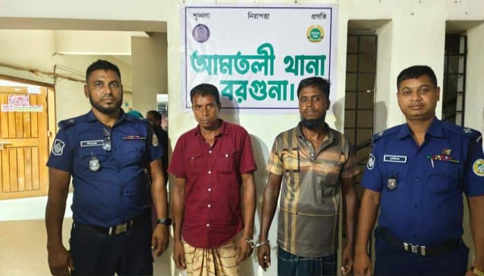 আমতলীতে মহিষ চোর ধরতে সাহায্যকারীকে আসামী করে থানায় প্রেরণ।