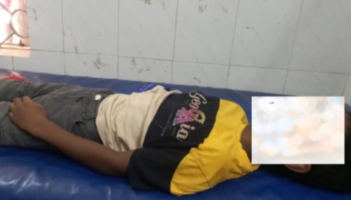 কলমাকান্দায় সা'পের ছো'বলে প্রা'ণ গেল প্রথম শ্রেণির শি'ক্ষা'র্থী'র