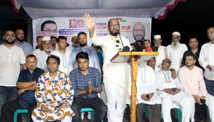 দেশবিরোধী চক্র নির্বাচন বানচাল করতে চায়: ফয়সল চৌধুরী
