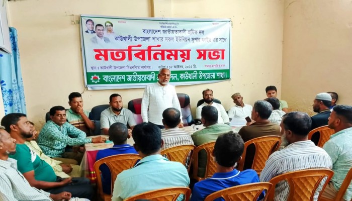 কাউখালীতে ৩১ দফা বাস্তবায়নের লক্ষ্যে শ্রমিক দলের সভা অনুষ্ঠিত
