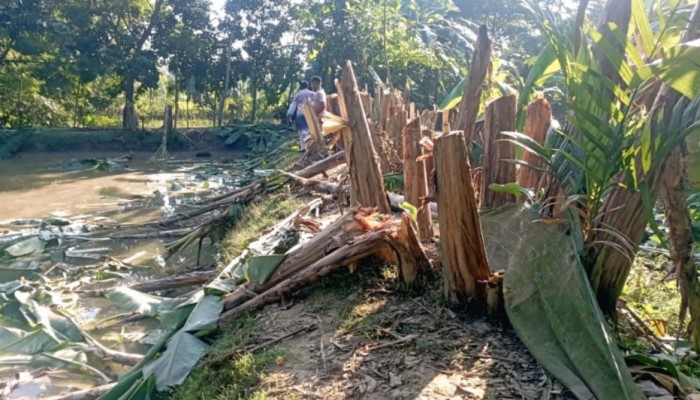 কেন্দুয়ায় জমি দখলকে কেন্দ্র করে হামলার অভিযোগ