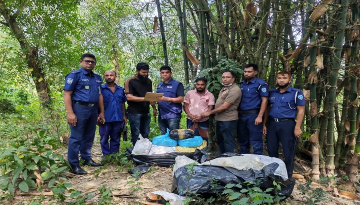 ব্রাহ্মণপাড়া ইউপি সদস্যের বাড়ির ছাদ থেকে ১০০ কেজি গাঁজাসহ একজন গ্রেপ্তার