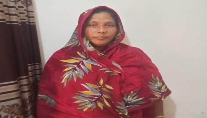 কালীগঞ্জে সিআইডি পরিচয়ে তরুণী অপহরণের চেষ্টা, এক নারী গ্রেপ্তার