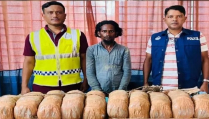 মাধবপুরে পুলিশের হাতে ২০কেজি গাঁজাসহ কারবারি গ্রেফতার
