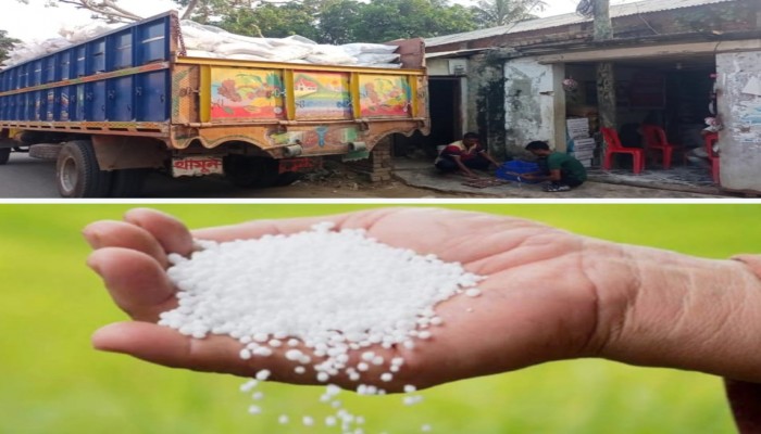 তানোরে কৃত্রিম সার সংকট দিশেহারা কৃষক