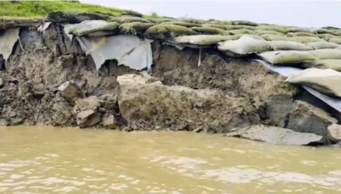 চরভদ্রাসনে হঠাৎ পদ্মা নদীর তীব্র ভাঙনে ৩০ মিটার বাঁধসহ বিস্তীর্ণ ফসলি জমি নদীগর্ভে বিলীন