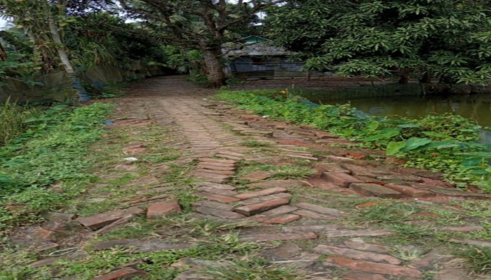 কেন্দুয়ায় ৪ কিমি রাস্তা পাকার অভাবে হাজারো মানুষের দীর্ঘদিনের দুর্ভোগ