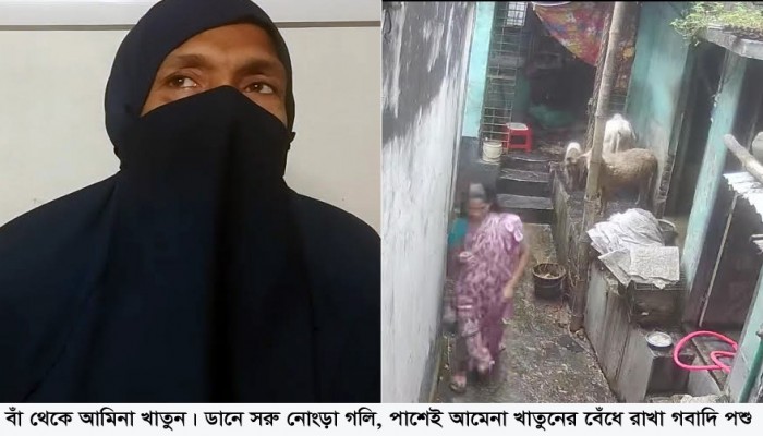 রাজশাহী নগরীতে প্রতিবেশীর বিরুদ্ধে নারীর মারধরের অভিযোগ, প্রতিপক্ষের অস্বীকার