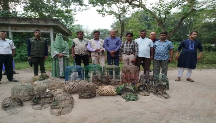 মাধবপুরে ১২টি বন্য পাখি উদ্ধার, সাতছড়ি উদ্যানে অবমুক্ত