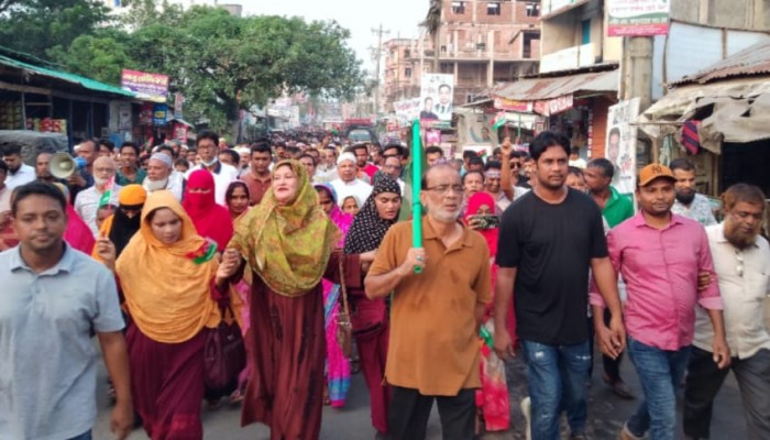 মির্জাগঞ্জে যথাযোগ্য মর্যাদায় জাতীয় বিপ্লব ও সংহতি দিবস পালিত