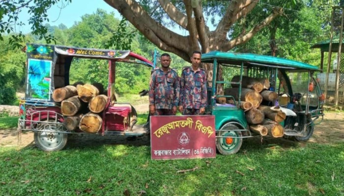 নাইক্ষ্যংছড়ি সীমান্তে বিজিবির অভিযানে কাঠ ও ইজিবাইক উদ্ধার