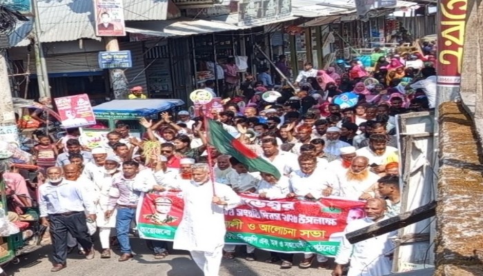 জাতীয় বিপ্লব ও সংহতি দিবস উপলক্ষে মুলাদীতে বিএনপির বর্ণাঢ্য র‌্যালীতে হাজারও মানুষের ঢল