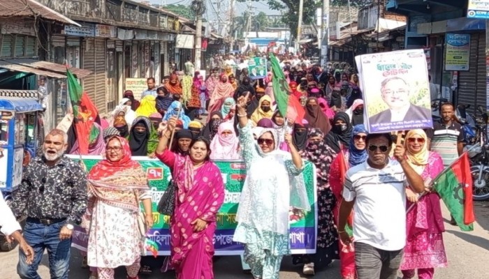 মুলাদীতে জাতীয় বিপ্লব ও সংহতি দিবস উপলক্ষে বিএনপি ও অঙ্গসংগঠনের বর্ণাঢ্য র‌্যালী-আলোচনা সভা