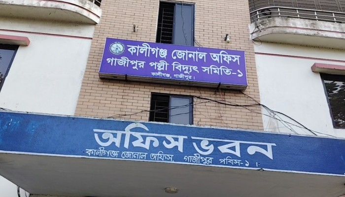 পল্লী বিদ্যুৎ অফিসের গাফিলতি কালীগঞ্জে ৩-৪ মাসের বিদ্যুৎ বিল একসাথে, গ্রাহকের বোঝা
