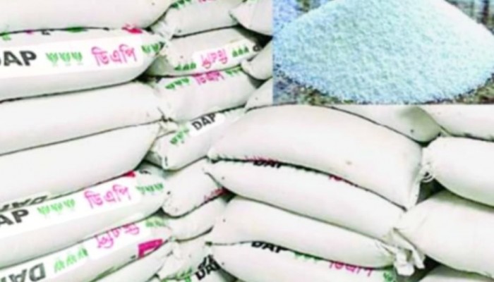 তানোরে কৃত্রিম সার সংকট দিশেহারা কৃষক বেশী দাম দিলেই মিলছে সার