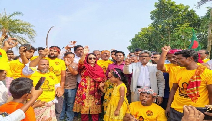 নেতাকর্মীদের নিয়ে কৃষকের জমির ধান কেটে দিলেন বিএনপির প্রার্থী পুতুল