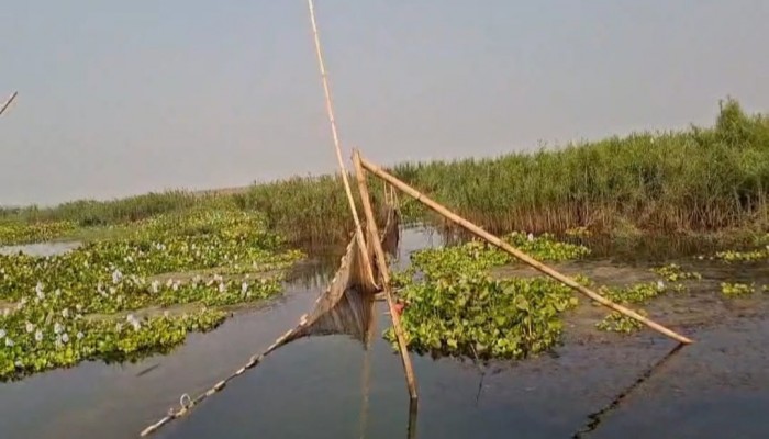 চরভদ্রাসনে পদ্মা নদীতে ৬টি  বাঁধ, ২টি বেশাল অপসারণ এবং ১০ টি চায়না দুয়ারী,  ১০ কেজি মাছ জব্দ