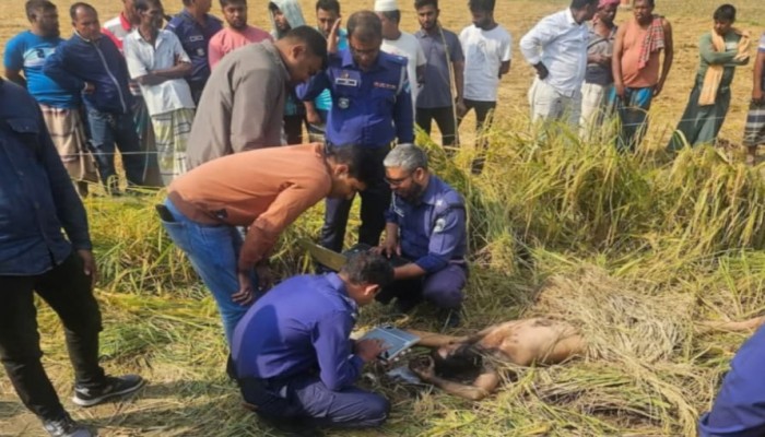 ভেড়ামারায় মুখমন্ডল পোড়ানো ও লিঙ্গ কাটা বিবস্ত্র বিভৎস অজ্ঞাতনামা এক ব্যক্তির লাশ উদ্ধার