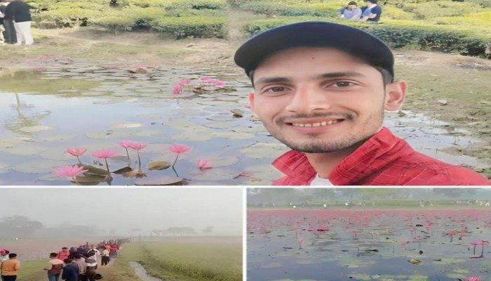 লাল শাপলার রূপে মুগ্ধ পর্যটকদের ঢল চুনারুঘাটে