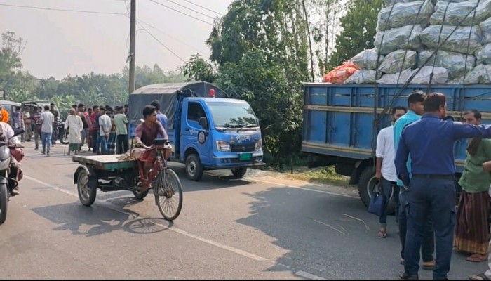 টাঙ্গাইলে সড়ক দুর্ঘটনায় নিহত ১