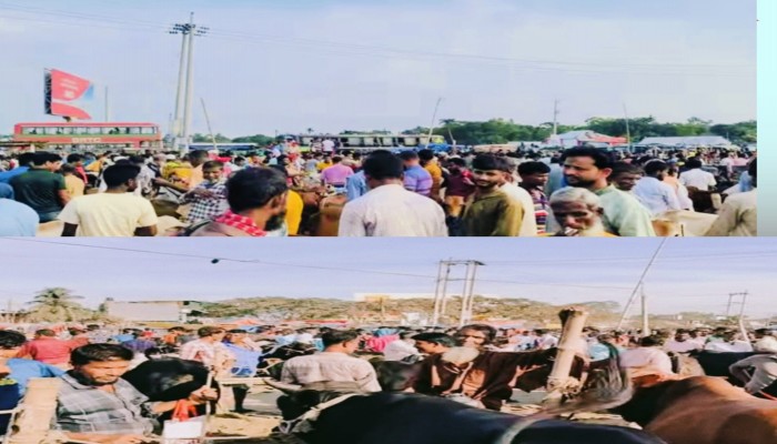 নান্দাইলে বারুইগ্রাম চৌরাস্তা সরকারি গরুর হাট দলীয় প্রভাবে দখলের অভিযোগ- ইজারাদারকে প্রবেশে বাধা