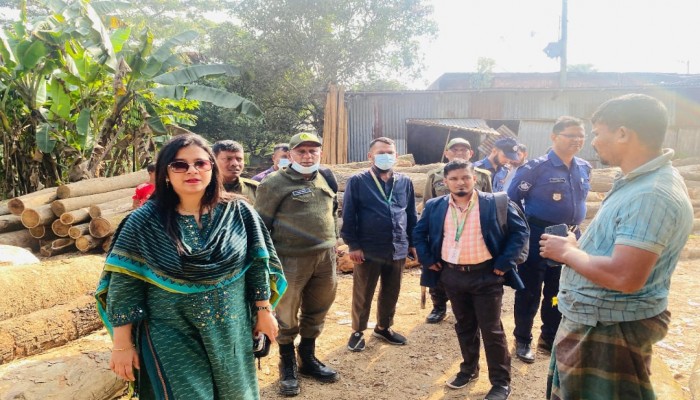 কালীগঞ্জে করাতকল আইনে ৪ মামলায় ৪০ হাজার টাকা জরিমানা