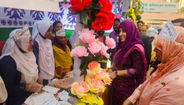 ব্রাহ্মণপাড়ায় তারুণ্যের উৎসব, পিঠা উৎসবে তরুণদের উচ্ছ্বাস