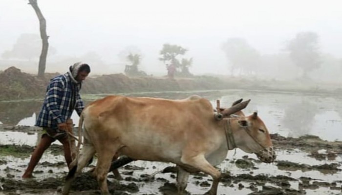 ‎শীত মানেই গরিবের কষ্ট