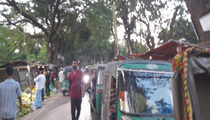 বোয়ালখালী শাকপুরায় ট্রাক-কাভার্ড ভ্যানের দাপট, অতিষ্ঠ জনজীবন