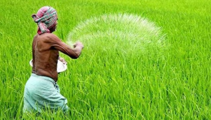 রাজশাহীতে তীব্র সার সংকট