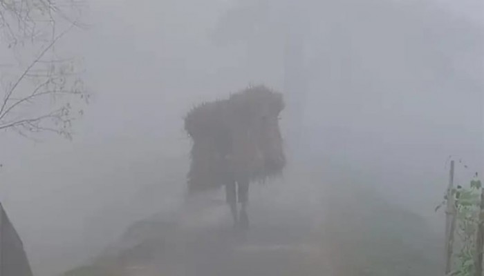 ঘন কুয়াশা, কনকনে ঠান্ডা আর হিমেল বাতাসে বিপর্যস্ত কুড়িগ্রামের জনজীবন