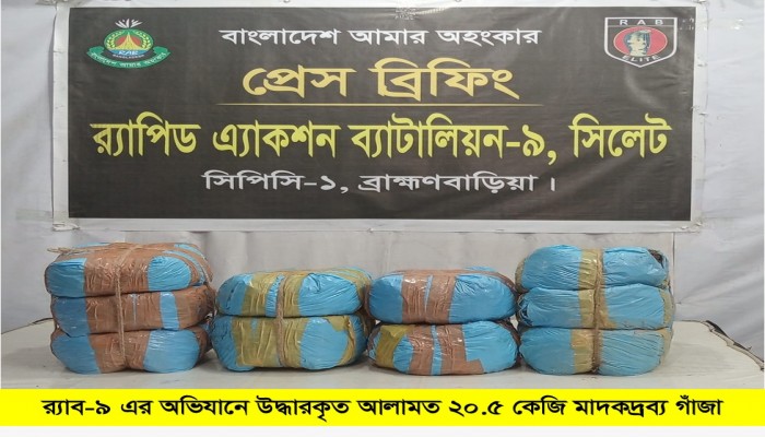 গাঁজাসহ ০১ জন মাদক ব্যবসায়ী গ্রেফতার।