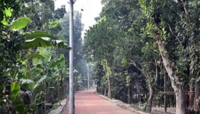 খোকসায় নিম্নমানের খোয়া ব্যাবহার ও বৈদ্যুতিক খুঁটি মাঝে রেখেই বাড়ানো হচ্ছে সড়ক