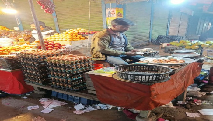 সলঙ্গায় বাড়তি আয়ের আশায় যুবকেরা গড়ে তুলেছে ভ্রাম্যমাণ সিদ্ধ ডিমের দোকান