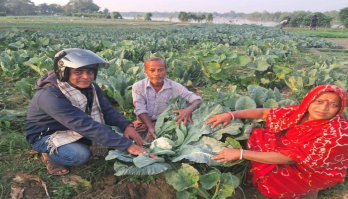 বোয়ালখালীতে মাঠ জুড়ে শীতকালীন সবজি