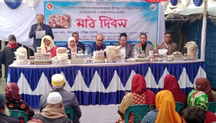 পুষ্টি উন্নয়ন ও দারিদ্র্য হ্রাসে মাশরুম চাষের সম্ভাবনা: পটুয়াখালীতে মাঠ দিবস