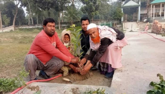 চরবেড়া কবরস্থানের সৌন্দর্য বাড়াতে ফুলের গাছ রোপণ