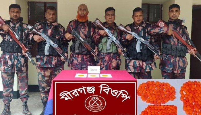 রাজশাহীতে আমবাগান থেকে বিপুল পরিমান ভারতীয় ইয়াবা জব্দ
