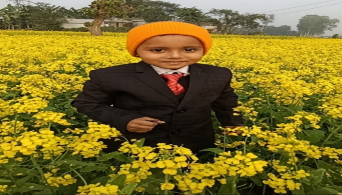 সরিষা চাষে বাম্পার ফলনের ব্যাপক সম্ভাবনা