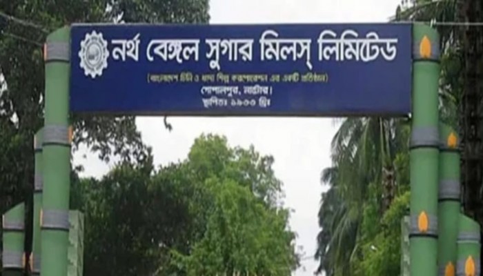 রাজশাহী সুগার মিল এলাকার আখ নাটোরের নর্থ বেঙ্গল সুগার মিলে নেওয়ার অভিযোগ
