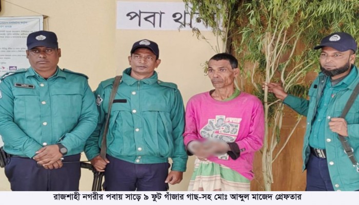 পবায় সাড়ে ৯ ফুট গাঁজার গাছসহ গ্রেফতার-১