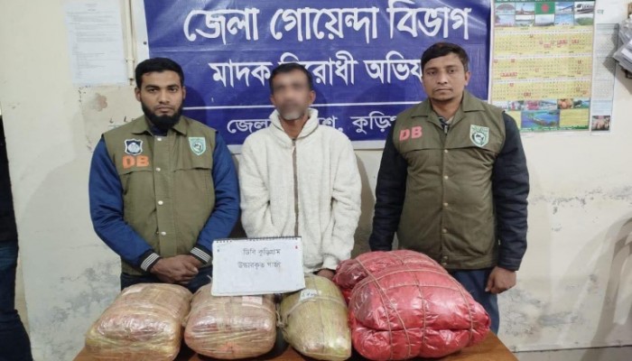 কুড়িগ্রামের ফুলবাড়ীতে ১৪ কেজি গাঁজাসহ এক মাদক কারবারি গ্রেফতার