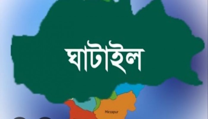 ঘাটাইলে নির্বাচনী আচরণবিধি ভংগে জরিমানা