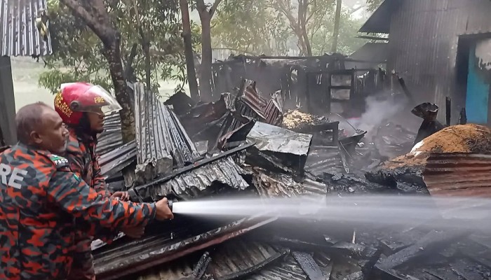 ঝালকাঠির নবগ্রামে বসতঘরে আগুিকান্ডে দগ্ধ শিশু